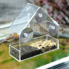 FeatherVibe — Turn Your Window Into a Front-Row Seat for Nature’s Magic and Peace