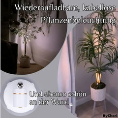 1 + 1 FREE | SpotPerfect™ | Transform your home into a luxurious sanctuary!
