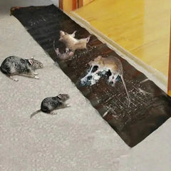SureGrip™ | Rat Glue Trap with Extra-Strong Adhesive