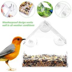 FeatherVibe — Turn Your Window Into a Front-Row Seat for Nature’s Magic and Peace