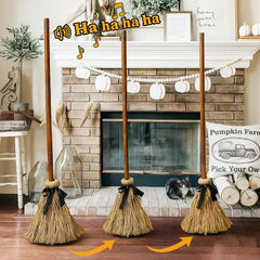 AirBroom™ Voice-Controlled Sweep