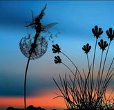 PixieCharm™ Transforms Outdoor Spaces