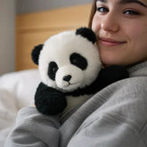 Paudy - AI Cuddle Panda