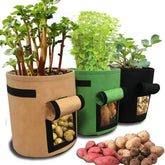GrowForce™ — Unleash Lush, Thriving Gardens Anywhere Without the Hassle