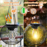 1+1 Free | SunFlare™ Sustainable Outdoor Radiance