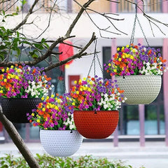 BloomVibe™ Fuss-Free Flowering