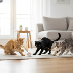Cat Feather Spring Ball Toy Set (3 Pack) | Silent No-Battery Bouncer | Non-Toxic Silicone + Real Feathers | 3 × 13 cm