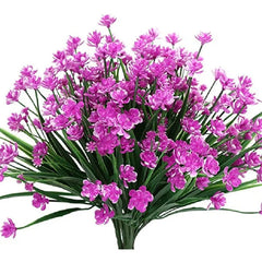 BloomVibe™ Fuss-Free Flowering