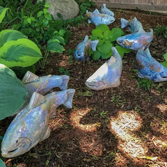 TranquilKoi™ Transforms Garden Atmosphere