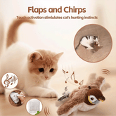FierceFlyer — Ignite Your Cat’s Hunting Passion for Explosive Energy and Joy