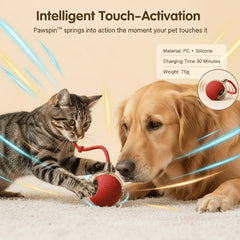 HunterOrb — Ignite Your Pet’s Wild Instincts for Endless Thrill and Joy