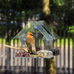 FeatherVibe — Turn Your Window Into a Front-Row Seat for Nature’s Magic and Peace