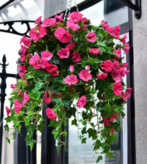 GloryCharm™ Everlasting Floral Beauty