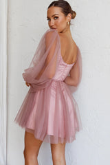 Fairytale Dream Sheer Sleeve Mini Dress Rose
