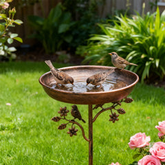 GlintNest — Transform Your Garden Into a Mesmerizing Bird Haven That Brings Nature’s Magic Home