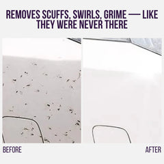 PROTECTZ™ — Shine. Shield. Show Off Your Ride | Buy 1 Get 1 Free
