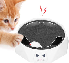 FurryRun™ Keeps Cats Entertained