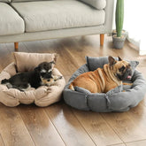 FlexNest — The Ultimate Mood-Switching Haven Your Pet Will Crave Every Day