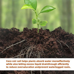 CocoBloom – Organic Coconut Coir Bricks for Healthy Plant Growth