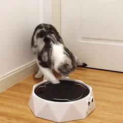 FurryRun™ Keeps Cats Entertained