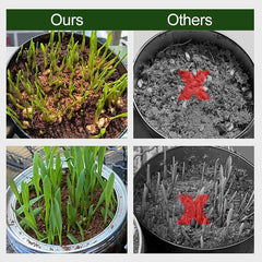 CocoBloom – Organic Coconut Coir Bricks for Healthy Plant Growth