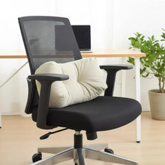 PostureMate™ Posture Perfect Support