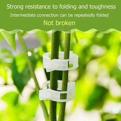 GardenGuard Clips — Unbreakable Support That Turns Fragile Stems into Towering Triumphs