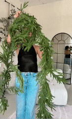 PineGrace™ Evergreen Festive Accent