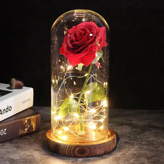 BloomAura™ Timeless Beauty Illuminated