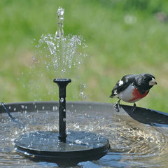 SolarPowerSplash™ — Ignite Your Garden with Instant, Everlasting Solar-Powered Life