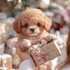 Pupfera™ — Feel the Unbreakable Bond of Real Puppy Love Anytime
