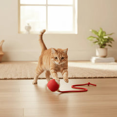 HunterOrb — Ignite Your Pet’s Wild Instincts for Endless Thrill and Joy