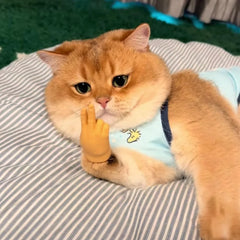 1+1 Free | FelineFlick™ Interactive Feline Joy