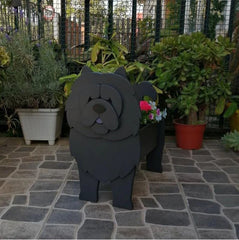 PetBlooms™ Pet-Friendly Ambiance