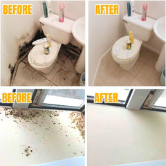 MoldDefy™ — Banish Mold Fast and Keep Your Home Fresh, Safe, and Welcoming