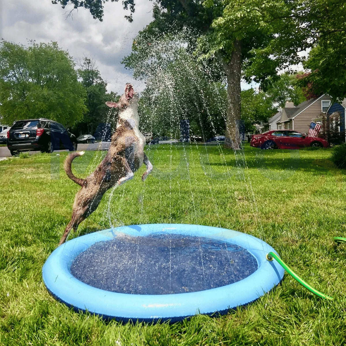 Outdoor Splash Pad for Kids & Dogs | Connects to Any Garden Hose | Durable Scratch-Resistant PVC | Foldable | 39–75 in