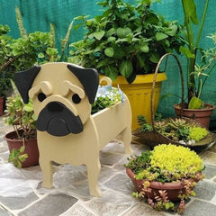 PetBlooms™ Pet-Friendly Ambiance