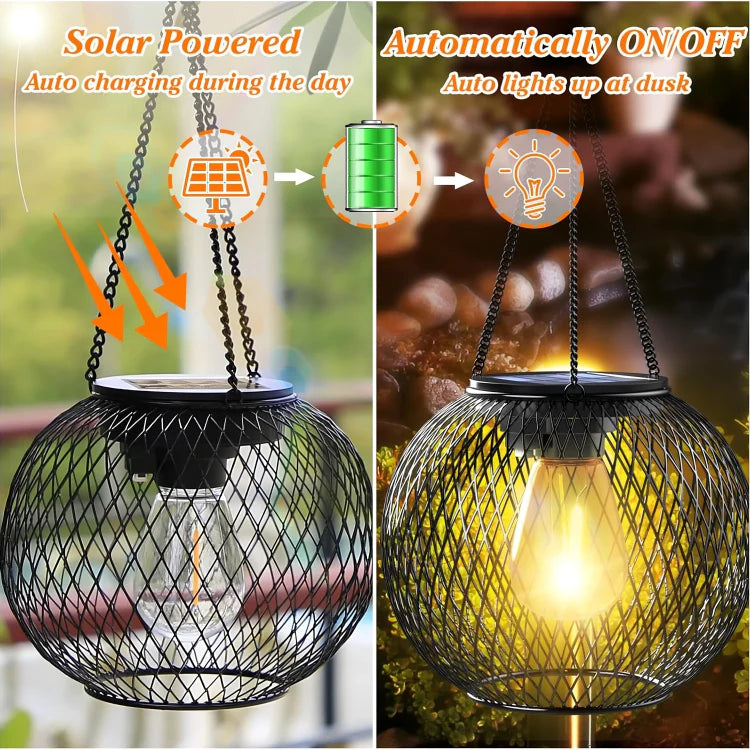 1+1 Free | SunFlare™ Sustainable Outdoor Radiance