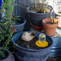 Bee Watering Station for Mason Jars | Drown-Proof Shallow Channels + Landing Pads | UV-Yellow Pollinator Attractor | Weatherproof PETG