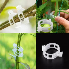GardenGuard Clips — Unbreakable Support That Turns Fragile Stems into Towering Triumphs