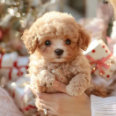 Pupfera™ — Feel the Unbreakable Bond of Real Puppy Love Anytime