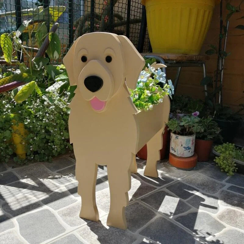 PetBlooms™ Pet-Friendly Ambiance