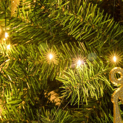 MerryBeam™ Transform Holiday Nights