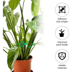 Plant Support Cages 4-Pack Set | Adjustable Sizes for Seedlings to Tall Plants | Weatherproof Garden Stem & Vine Support