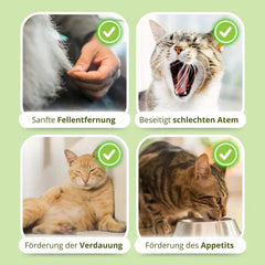 Buy 1 Get 1 Free Today | WhiskerWonder™ | Healthy Chew Toys for a Happy, Hairball-Free Cat!