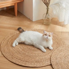 PawPad™ Satisfies Scratching Instinct