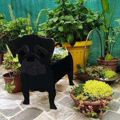 PetBlooms™ Pet-Friendly Ambiance