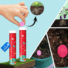 1+1 FREE | GrowBoost - Revive plants environmentally friendly! [Last Day Discount]