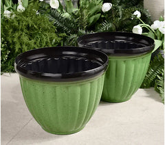 GreenNest™ Carefree Plant Living